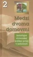 Slovenská beletria Medzi dvoma domovmi 2 - Kolektív autorov