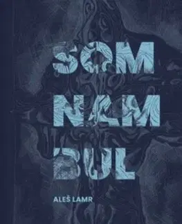 Eseje, úvahy, štúdie Somnambul - Aleš Lamr