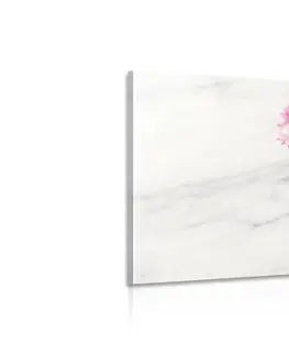 Obrazy kvetov Obraz nádherné kvety na mramorovom podklade