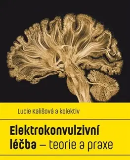 Psychológia, etika Elektrokonvulzivní léčba - Lucie Kališová,Kolektív autorov