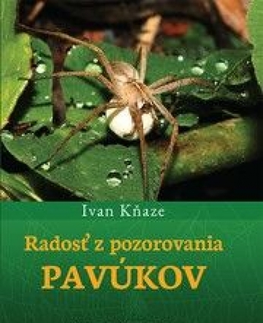 Príroda Radosť z pozorovania pavúkov - Ivan Kňaze