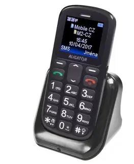 Mobilné telefóny Aligator A321 Senior, Dual SIM