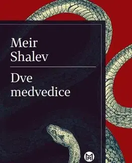 Svetová beletria Dve medvedice - Meir Shalev,Silvia Singer