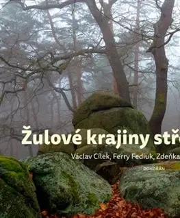 Geografia, geológia, mineralógia Žulové krajiny středních Čech - Kolektív autorov,Václav Cílek,Fediuk Ferry