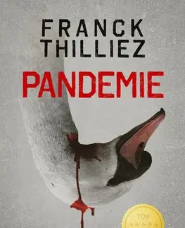 Detektívky, trilery, horory Pandemie - Franck Thilliez,Jiří Žák