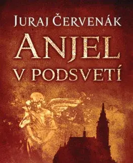 Detektívky, trilery, horory Anjel v podsvetí (Barbarič a Stein 7) - Juraj Červenák