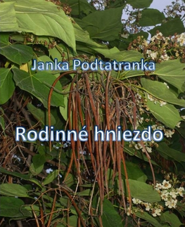 Romantická beletria Rodinné hniezdo - Janka Podtatranka