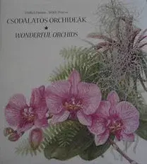 Umenie - ostatné Csodálatos orchideák - Emma Varga