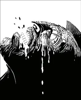 Komiksy Sin City 1: Drsný sbohem (4.vydání) - Frank Miller
