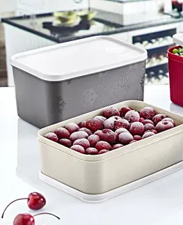 Skladovanie potravín Box na potraviny
