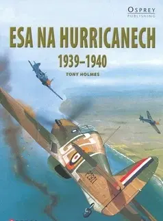Armáda, zbrane a vojenská technika Esa na hurricanech - Tony Holmes