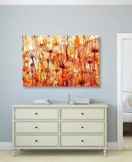 Abstraktné obrazy Obraz púpava v oranžových odtieňoch