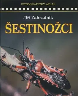 Príroda Šestinožci - fotografický atlas - Jiří Zahradnik