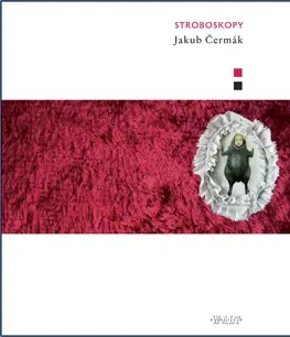 Česká poézia Stroboskopy + CD - Jakub Čermák