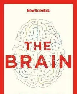 Psychológia, etika The Brain - New Scientist
