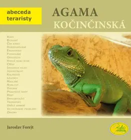 Zvieratá, chovateľstvo - ostatné Agama kočičinská - Jaroslav Forejt