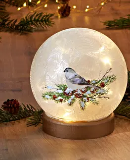 Drobné dekorácie a doplnky LED sklenená guľa "Zimný vták"