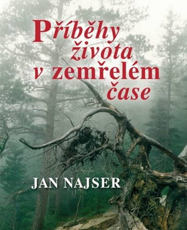 Novely, poviedky, antológie Příběhy života v zemřelém čase - Jan Najser