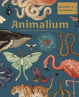 Príroda Animalium – Üdvözlünk a múzeumban! - Jenny Broom