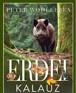 Biológia, fauna a flóra Erdei kalauz - Peter Wohlleben