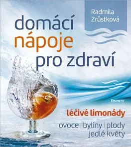 Nápoje - ostatné Domácí nápoje pro zdraví - Radmila Zrůstková