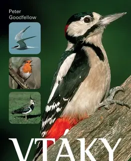 Biológia, fauna a flóra Vtáky strednej Európy - Peter Goodfellow,Zemanová Dagmar