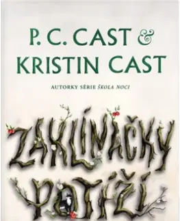 Sci-fi a fantasy Sestry ze Salemu 1: Zaklínačky potíží - Kristin Castová,P. C. Cast
