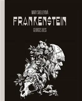 Komiksy Frankenstein - Mary Shelley,Georges Bess,Richard Podaný