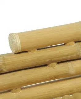 Postele Posteľ bambus / ratan Dekorhome 160 x 200 cm