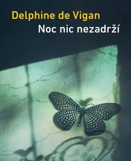 Svetová beletria Noc nic nezadrží, 2. vydání - Delphine de Vigan,Alexandra Pflimpflová