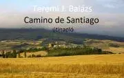 Sprievodcovia, mapy - ostatné Camino de Santiago - útinapló - Teremi J. Balázs
