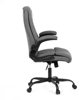 Kancelárske stoličky Kancelárske kreslo KA-Y344 Autronic Sivá