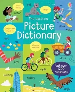 Pre deti a mládež - ostatné Picture Dictionary - Felicity Brooks,Caroline Young,Sr. Sanchez