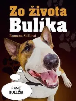 Humor a satira Zo života Bulíka - Romana Skálová