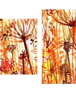 Obrazy kvetov 5-dielny obraz púpava v oranžových odtieňoch