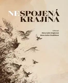 Sociológia, etnológia Nespojená krajina - Kriglerová Gallo Elena,Chudžíková Holka Alenka (eds.)
