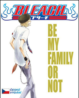 Manga Bleach 21 - Kubo Tite