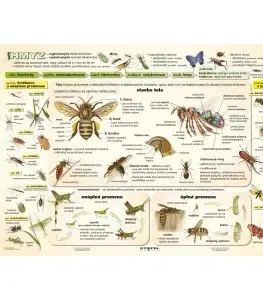 Učebnice - ostatné Hmyz I. diel - A4 karta