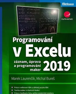 Kancelárske programy Programování v Excelu 2019 - Marek Laurenčík,Michal Bureš