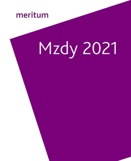 Dane, účtovníctvo Meritum Mzdy 2021 - Kolektív autorov