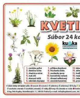 Učebnice pre ZŠ - ostatné Súbor 24 kariet - kvetiny - Petr Kupka