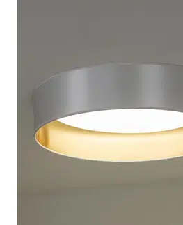 Svietidlá   - LED Stropné svietidlo ROLLER LED/24W/230V strieborná/zlatá 