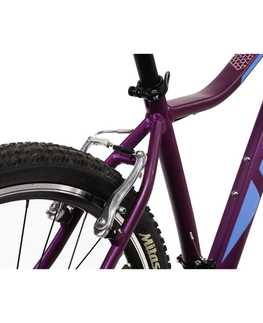 Bicykle Dámsky horský bicykel DHS Terrana 2922 29" 7.0 Violet - 18" (168-181 cm)