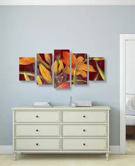Obrazy kvetov 5-dielny obraz prebudenie oranžovej ľalie