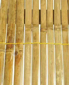 Postele Posteľ bambus / ratan Dekorhome 180 x 200 cm