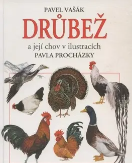 Vtáky, hydina Drůbež a její chov v ilustracích Pavla Procházky - Pavel Vašák,Pavel Procházka