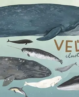 Príroda Veľryby: ilustrovaný sprievodca - Kelsey Oseidová,Milan Thurzo