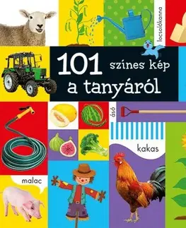 Leporelá, krabičky, puzzle knihy 101 színes kép a tanyáról