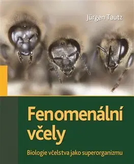 Hmyz Fenomenální včely - Jürgen Tautz