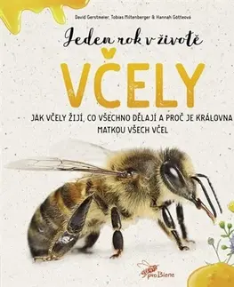 Hmyz Jeden rok v životě včely - Tobias Miltenberger